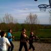 basket